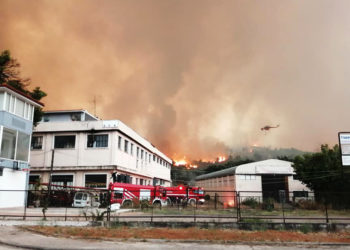 Η φωτιά στις Αφίδνες νωρίς το πρωί της Παρασκευής (φωτ.: Facebook / Δημήτρης Γκούφας)