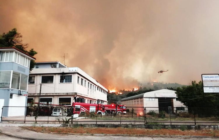 Η φωτιά στις Αφίδνες νωρίς το πρωί της Παρασκευής (φωτ.: Facebook / Δημήτρης Γκούφας)