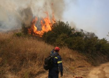 Πυροσβέστης επιχειρεί στην κατάσβεση της πυρκαγιάς στο χωριό Κοσκινάς, στην Αρχαία Ολυμπία (φωτ.: ΑΠΕ-ΜΠΕ/Ορέστης Παναγιώτου)