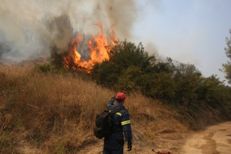 Πυροσβέστης επιχειρεί στην κατάσβεση της πυρκαγιάς στο χωριό Κοσκινάς, στην Αρχαία Ολυμπία (φωτ.: ΑΠΕ-ΜΠΕ/Ορέστης Παναγιώτου)