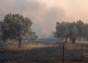 Εικόνα από την περιοχή Καλαμώνα στη Ρόδο (φωτ.: 
ΑΠΕ-ΜΠΕ /Λευτέρης Δαμιανίδης)