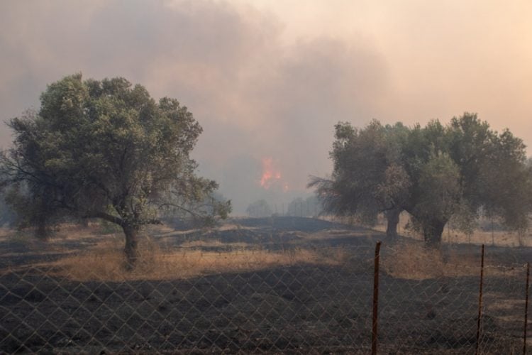 Εικόνα από την περιοχή Καλαμώνα στη Ρόδο (φωτ.: 
ΑΠΕ-ΜΠΕ /Λευτέρης Δαμιανίδης)