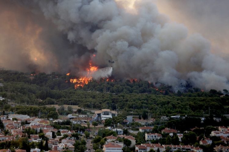 Φωτιά καίει δέντρα στην περιοχή της Βαρυμπόμπης. Μάρτυρες λένε για πολλά καμένα σπίτια (φωτ.: ΑΠΕ-ΜΠΕ/ Ορέστης Παναγιώτου)