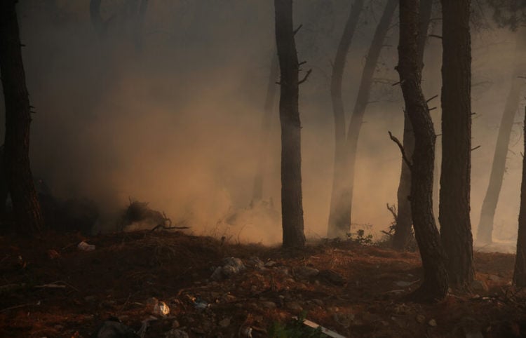 Πυκνός καπνός ανάμεσα σε δέντρα κατά τη διάρκεια της πυρκαγιάς στην περιοχή των Θρακομακεδόνων, Σάββατο 07 Αυγούστου 2021 (φωτ.: ΑΠΕ-ΜΠΕ/ Αλέξανδρος Μπελτές)