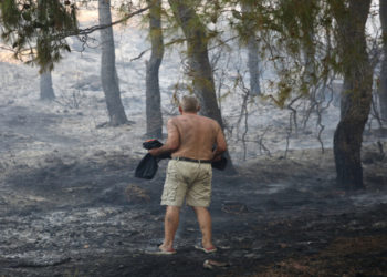 Κάτοικος κοιτά το καμμένο τοπίο στην περιοχή των Θρακομακεδόνων Σάββατο 07 Αυγούστου 2021 (φωτ.: ΑΠΕ-ΜΠΕ/ Αλέξανδρος Μπελτές)