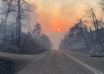 Καμμένο τοπίο στην περιοχή Κήρινθο κοντά στη Λίμνη Ευβοίας, Παρασκευή  6 Αυγούστου 2021 (φωτ.: ΑΠΕ-ΜΠΕ/ Παναγιώτης Κουρός)