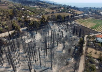 Εικόνα από τις Ροβιές στην Εύβοια, 5 Αυγούστου 2021 (φωτ.:  EPA/ Panagiotis Kouros)