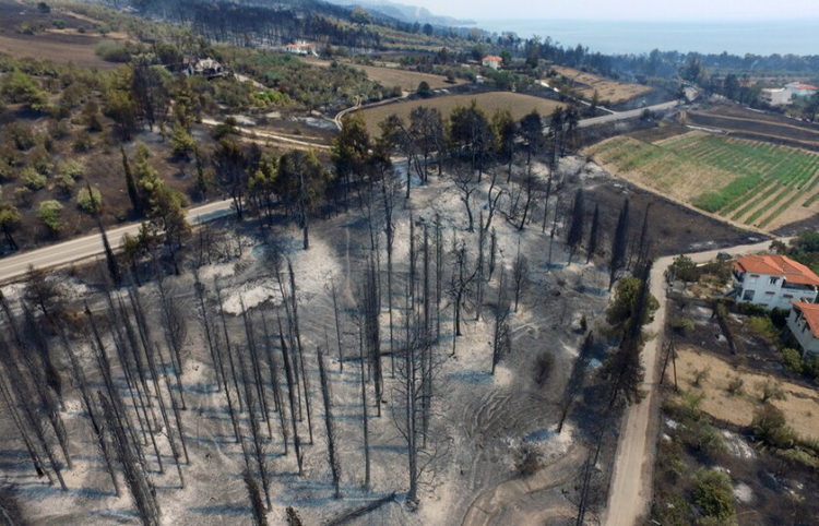 Εικόνα από τις Ροβιές στην Εύβοια, 5 Αυγούστου 2021 (φωτ.:  EPA/ Panagiotis Kouros)