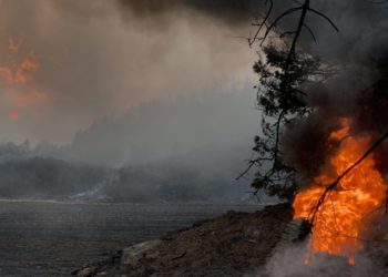 Φωτιά καίει δασική έκταση στο χωριό Ζωοδόχος Πηγή στην Εύβοια, Παρασκευή 6 Αυγούστου 2021 (φωτ.: ΑΠΕ-ΜΠΕ/ Παναγιώτης Κουρός)