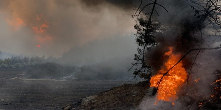 Φωτιά καίει δασική έκταση στο χωριό Ζωοδόχος Πηγή στην Εύβοια, Παρασκευή 6 Αυγούστου 2021 (φωτ.: ΑΠΕ-ΜΠΕ/ Παναγιώτης Κουρός)