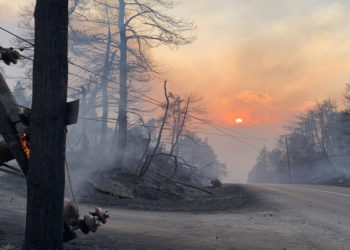 Καμμένο τοπίο στην περιοχή Κήρινθο κοντά στη Λίμνη Ευβοίας, Παρασκευή  6 Αυγούστου 2021 (φωτ.: ΑΠΕ-ΜΠΕ/ Παναγιώτης Κουρός)