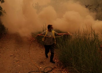 Κάτοικος επιχειρεί στην κατάσβεση της πυρκαγιάς στο χωριό Γούβες στην Εύβοια, Κυριακή 08 Αυγούστου 2021 (φωτ.: ΑΠΕ-ΜΠΕ/ Κώστας Τσιρώνης)