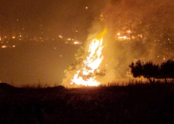 (Φωτ.: ΑΠΕ-ΜΠΕ/ Παναγιώτης Κουρός)