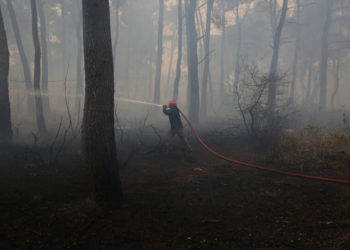 Εθελοντές πυροσβέστες επιχειρούν στην κατάσβεση της πυρκαγιάς στο Κρυονέρι, την Παρασκευή 06 Αυγούστου 2021 (φωτ.: ΑΠΕ-ΜΠΕ/ Ορέστης Παναγιώτου)