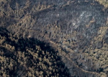 Ο απόηχος των πυρκαγιών στην Τουρκία (φωτ.: EPA/ Erdem Sahin)