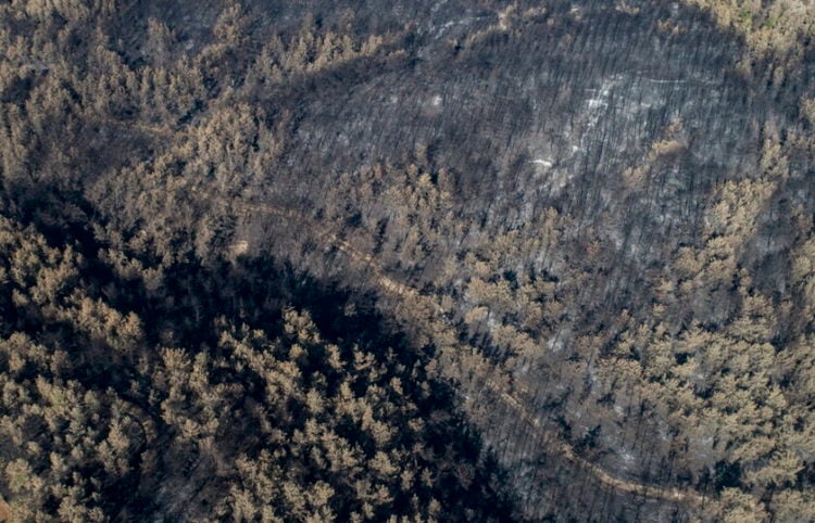 Ο απόηχος των πυρκαγιών στην Τουρκία (φωτ.: EPA/ Erdem Sahin)