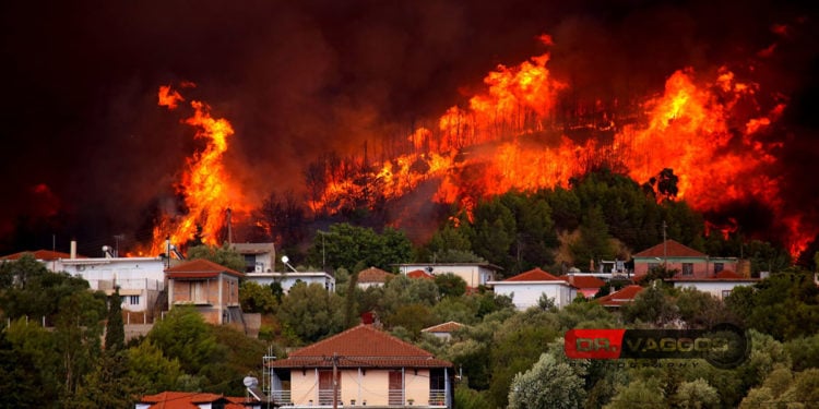 Το πύρινο μέτωπο στο Πελόπιο Εύβοιας την Τετάρτη (φωτ.: Facebook / Vaggelis Dimitropoulos)