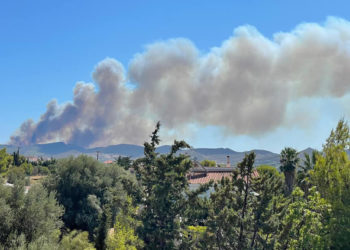 (Φωτ.: Facebook / Πυρκαγιά Ενημέρωση / Θεόδωρος Χριστοδουλάκης)