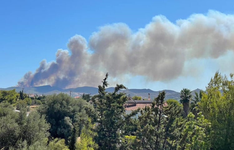 (Φωτ.: Facebook / Πυρκαγιά Ενημέρωση / Θεόδωρος Χριστοδουλάκης)