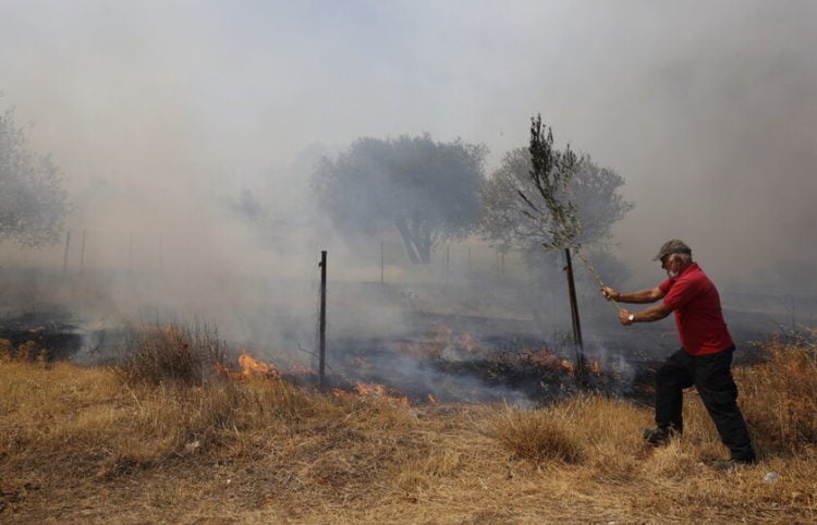 Εθελοντής επιχειρεί στην κατάσβεση της πυρκαγιάς στην Κερατέα, τη Δευτέρα 16 Αυγούστου 2021 (φωτ.: ΑΠΕ-ΜΠΕ/ Αλέξανδρος Βλάχος)