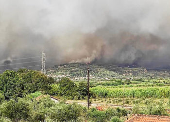 Η φωτιά που καίει στη Νεμούτα Ηλείας (πηγή: Facebook / Meteology)