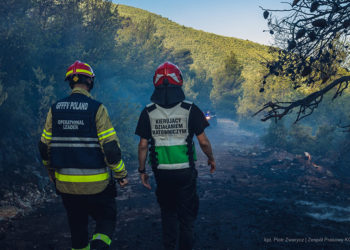 Πολωνοί πυροσβέστες στα Βίλια (φωτ.: Facebook / Państwowa Straż Pożarna)