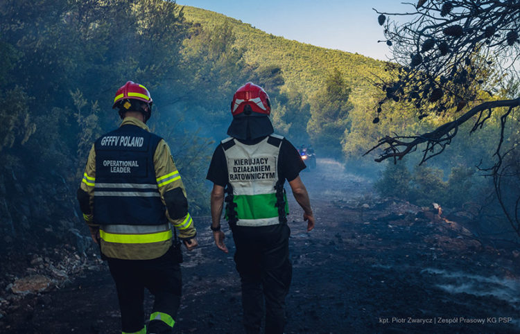 Πολωνοί πυροσβέστες στα Βίλια (φωτ.: Facebook / Państwowa Straż Pożarna)