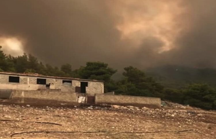 Η φωτιά από τα Βίλια πλησιάζει τα Μέγαρα (Φωτ.: Stavros Kokkalis/ Facebook)