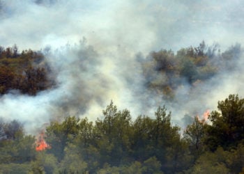 Φωτιά καίει πεύκα,  στο όρος Πατέρας, στην επαρχιακή οδό Οινόης-Πόρτο Γερμενού στη  Μάνδρα, καθώς η φωτιά καίει σε δυσπρόσιτα σημεία, Τρίτη 17 Αυγούστου 2021 (φωτ.: ΑΠΕ-ΜΠΕ/ Αλέξανδρος Μπελτές)