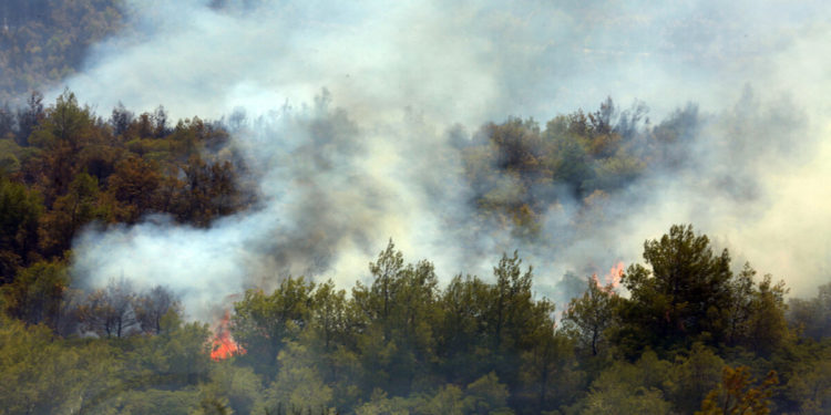 Φωτιά καίει πεύκα,  στο όρος Πατέρας, στην επαρχιακή οδό Οινόης-Πόρτο Γερμενού στη  Μάνδρα, καθώς η φωτιά καίει σε δυσπρόσιτα σημεία, Τρίτη 17 Αυγούστου 2021 (φωτ.: ΑΠΕ-ΜΠΕ/ Αλέξανδρος Μπελτές)