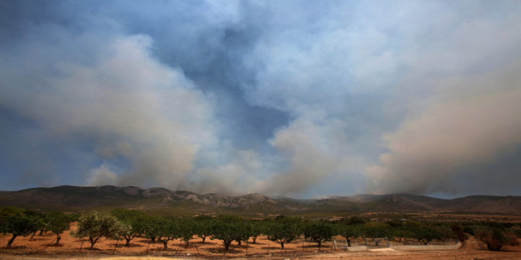 Πυκνοί καπνοί ανεβαίνουν από το όρος Πατέρας, έτσι όπως φαίνεται από την περιοχή Λιακωτό Μάνδρας, καθώς η φωτιά καίει σε δυσπρόσιτα σημεία, Τρίτη 17 Αυγούστου 2021 (φωτ.: ΑΠΕ-ΜΠΕ/ Αλέξανδρος Μπελτές)