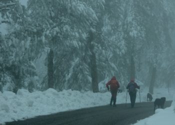 Εικόνα από την Πάρνηθα, στις 16 Δεκεμβρίου. Το χιόνι που έχει σκεπάσει την περιοχή φτάνει σε ύψος τα 30 εκατοστά.
(φωτ.: ΑΝΤΩΝΗΣ ΝΙΚΟΛΟΠΟΥΛΟΣ/EUROKINISSI)