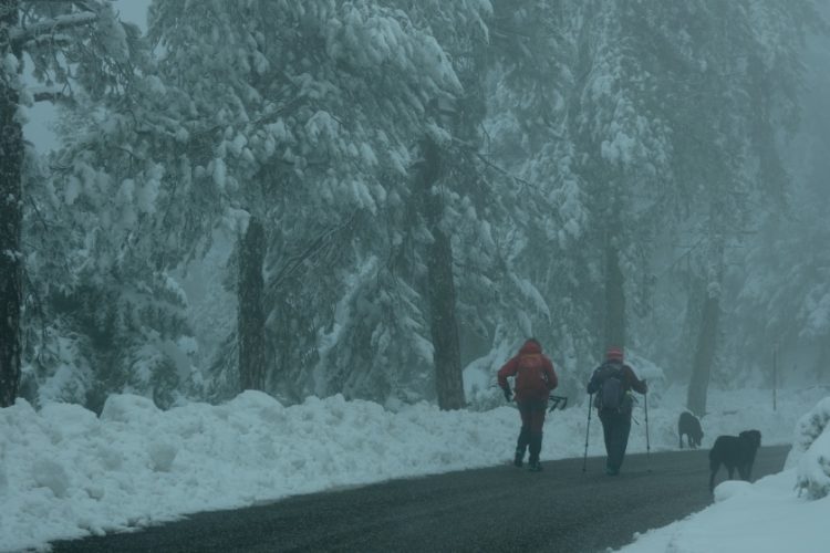 Εικόνα από την Πάρνηθα, στις 16 Δεκεμβρίου. Το χιόνι που έχει σκεπάσει την περιοχή φτάνει σε ύψος τα 30 εκατοστά.
(φωτ.: ΑΝΤΩΝΗΣ ΝΙΚΟΛΟΠΟΥΛΟΣ/EUROKINISSI)