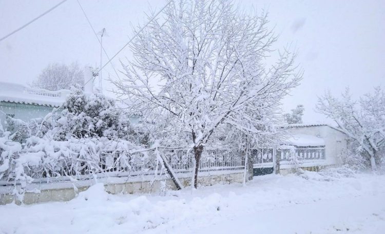 Βόρεια Εύβοια. Το πέρασμα της κακοκαιρίας «Ελπίς» από την Ιστιαία (φωτ.: Κική Μαχαρίδου)