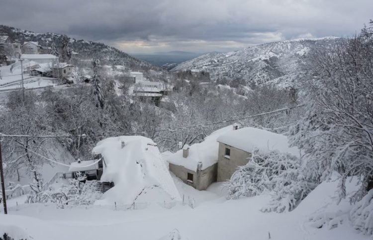 (Φωτ.: Λεωνίδας Τζέκας)