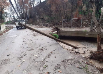 Δρόμος στη βόρεια Εύβοια (φωτ.: Facebook / Γιώργος Τσαπουρνιώτης)