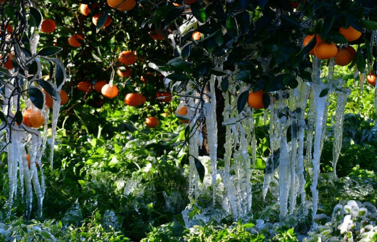 (Φωτ.: ΑΠΕ-ΜΠΕ/ Ευάγγελος Μπουγιώτης)