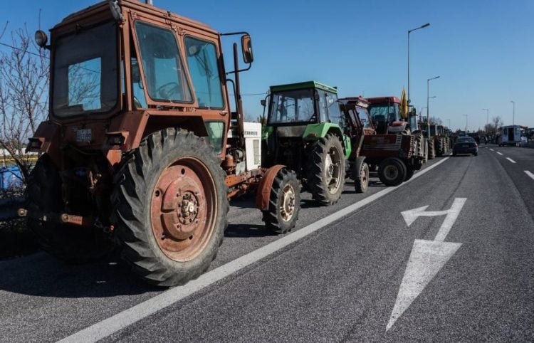 (Φωτ.: EUROKINISSI / Λεωνίδας Τζέκας)