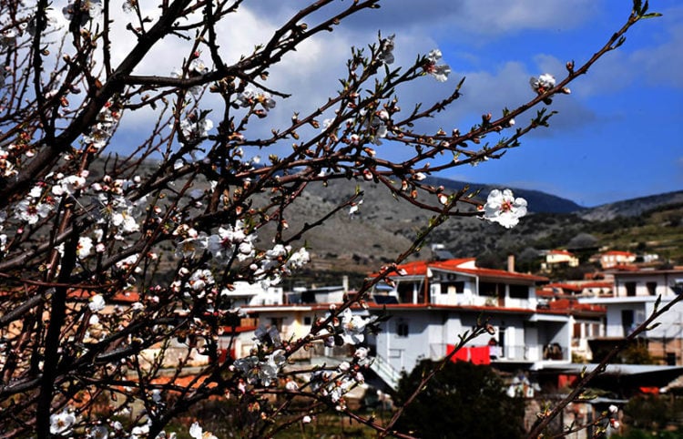 (Φωτ.: EUROKINISSI / Βασίλης Παπαδόπουλος)