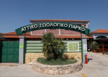 (Φωτ. αρχείου: EUROKINISSI/ Σωτήρης Δημητρόπουλος)