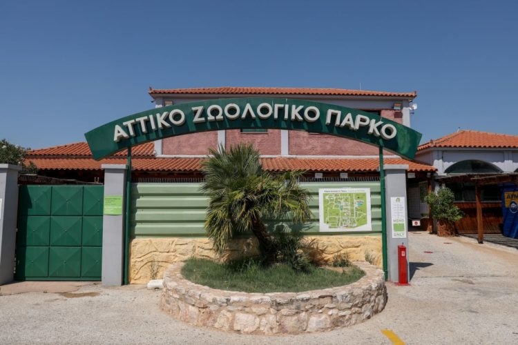 (Φωτ. αρχείου: EUROKINISSI/ Σωτήρης Δημητρόπουλος)