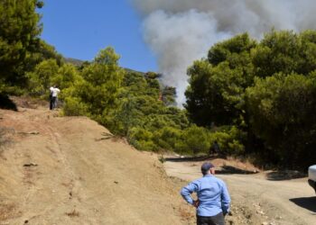 Εικόνα από την Πλατανόβρυση Αχαΐας όπου μαίνεται η φωτιά που ξέσπασε χθες, αρχικά στην Καλλιθέα (φωτ.: EUROKINISSI)