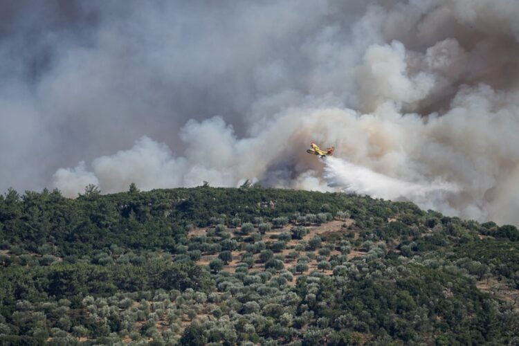 Αναζωπύρωση στη πυρκαγιά της Λέσβου. Περιοχή Βρίσα -Πολιχνίτος Τετάρτη 27 Ιουλίου 2022 (Φωτ.: Παναγιώτης Μπαλάσκας/Eurokinissi)