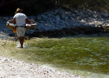 Πλανόδιος πωλητής πουλάει φρούτα και λουκουμάδες  (Φωτ. αρχείου: Eurokinissi/Γιώργος Κονταρίνης)