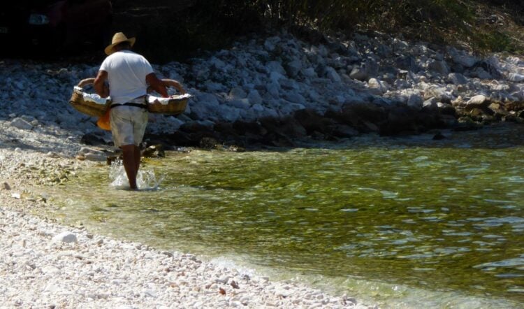 Πλανόδιος πωλητής πουλάει φρούτα και λουκουμάδες  (Φωτ. αρχείου: Eurokinissi/Γιώργος Κονταρίνης)