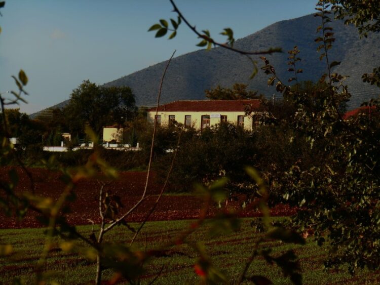 Άποψη της Οινόης. Διακρίνεται το σχολείο της Κοινότητας (φωτ.: facebook/Πολιτιστικός Σύλλογος Οινόης «Χρύσανθος»)