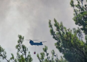 Πυρκαγιά στη Δαδιά Έβρου, Παρασκευή 22 Ιουλίου (Φωτ. : Γραφείο Τύπου ΓΕΕΘΑ/Eurokinissi)