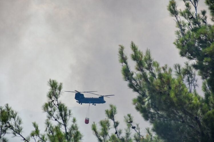 Πυρκαγιά στη Δαδιά Έβρου, Παρασκευή 22 Ιουλίου (Φωτ. : Γραφείο Τύπου ΓΕΕΘΑ/Eurokinissi)