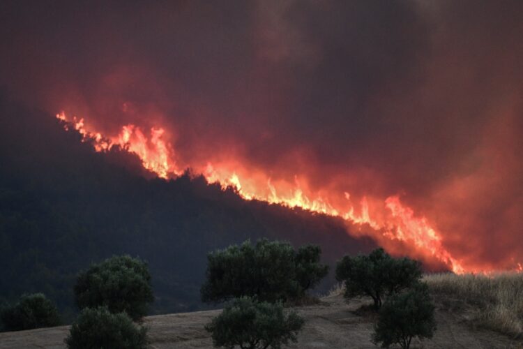 Σε εξέλιξη μεγάλη πυρκαγιά στα Κρέστενα στην Ηλεία, εκκενώνεται o οικισμός Σκυλλουντία, Κυριακή 24 Ιουλίου 2022 (ilialive.gr/Γιάννης Σπυρούνης/Eurokinissi)