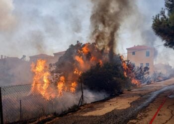 Πυρκαγιά στη Λέσβο, στην περιοχή Ρογκάδα των Βατερών . Σάββατο 23 Ιουλίου 2022 (Φωτ.: Παναγιώτης Μπαλάσκας/Eurokinissi)